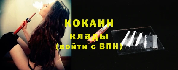 стафф Аркадак