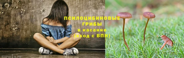 стафф Аркадак