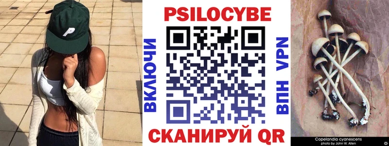 Псилоцибиновые грибы Psilocybine cubensis  Багратионовск 